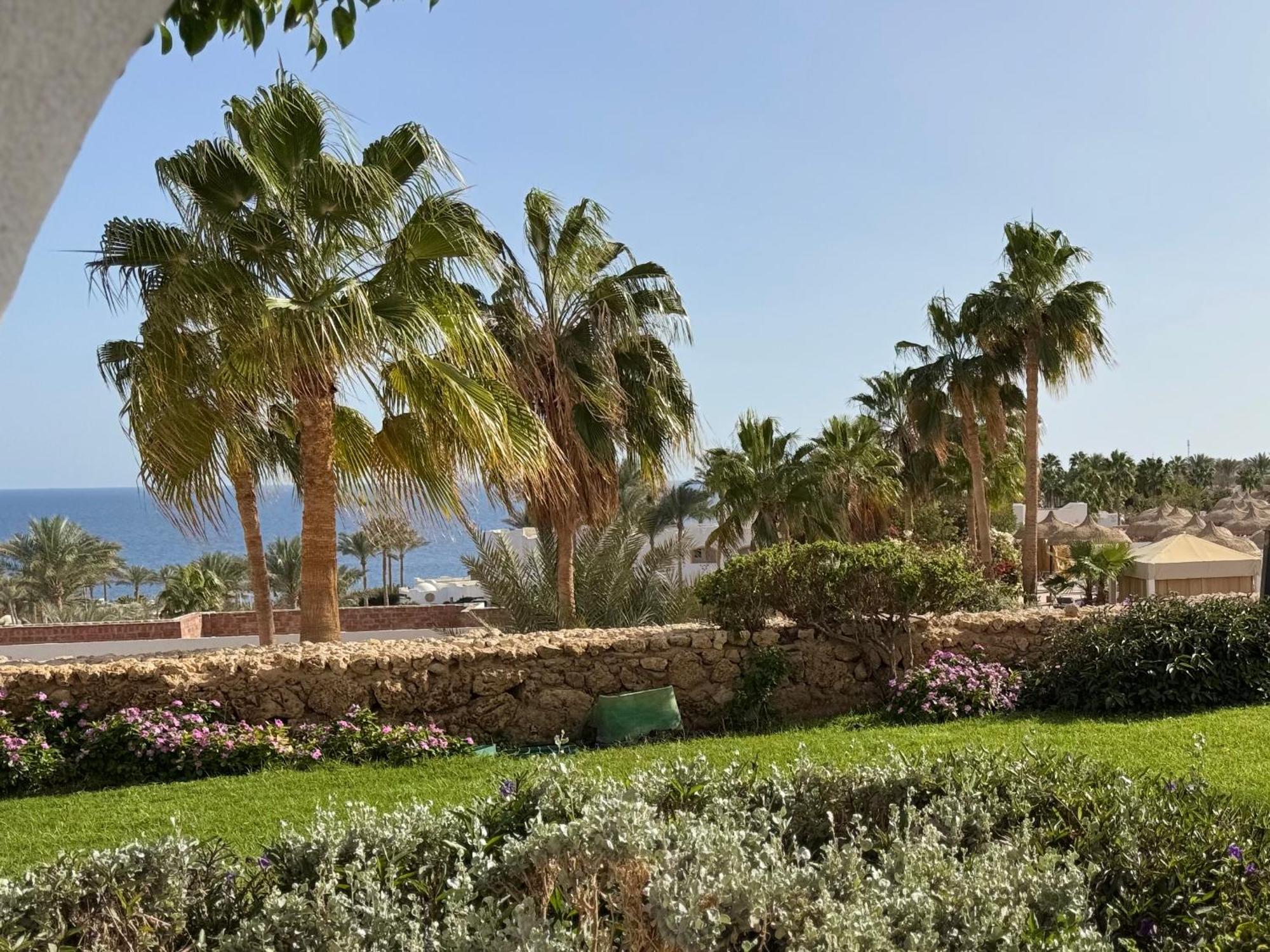 Domina Coral Bay Lejlighed Sharm el-Sheikh Eksteriør billede